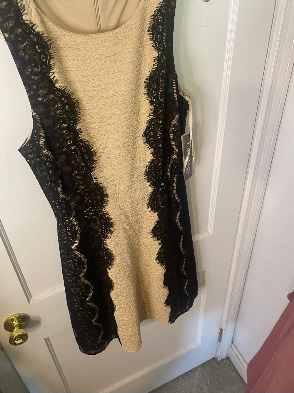 Luxology Cream Dress with Black Lace Panels